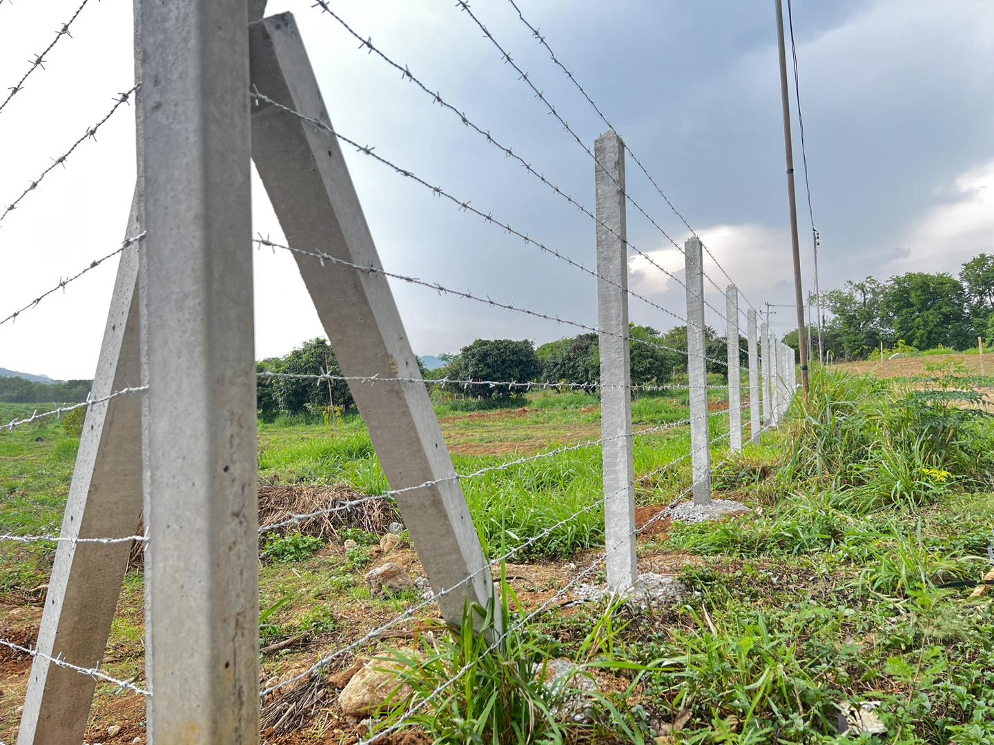 25 - https://วัสดุล้อมรั้ว.com | อยากได้อุปกรณ์ล้อมรั้ว เสารั้ว แผ่นกันดิน แผ่นสำเร็จ เสาไอ 15 ลวดหนาม สินค้าคุณภาพ ให้บ้านของคุณสวยโดนใจ ในราคาประหยัด ต้องสั่งซื้อกับเรา